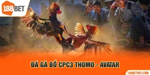 da-ga-bo-cpc3-thomo-avatar_1_11zon