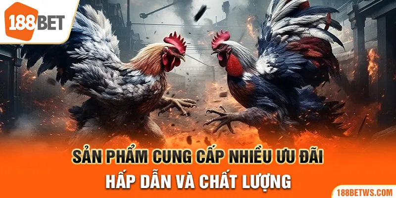 Sản phẩm cung cấp nhiều ưu đãi hấp dẫn và chất lượng