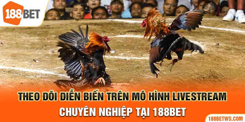 Theo dõi diễn biến trên mô hình livestream chuyên nghiệp tại 188bet