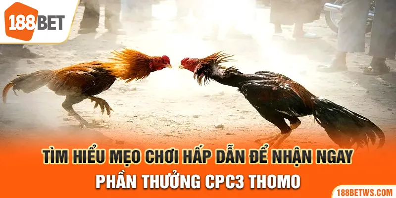Tìm hiểu mẹo chơi hấp dẫn để nhận ngay phần thưởng CPC3 thomo