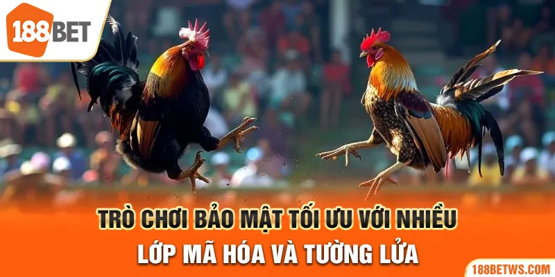 Trò chơi bảo mật tối ưu với nhiều lớp mã hóa và tường lửa