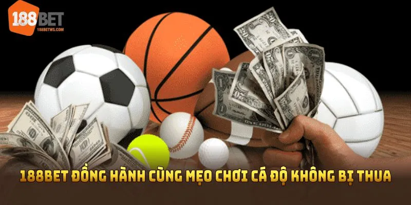 188BET đồng hành cùng mẹo chơi cá độ không bị thua hiệu quả 