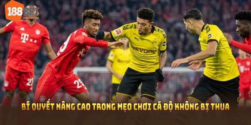 Bí quyết nâng cao trong mẹo chơi cá độ không bị thua từ cao thủ 