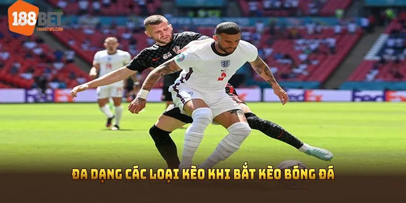Đa dạng các loại kèo khi bắt kèo bóng đá tại hệ thống chúng tôi 
