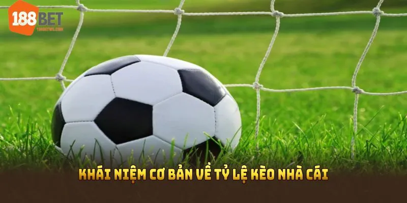Tìm hiểu khái niệm cơ bản về tỷ lệ kèo nhà cái 