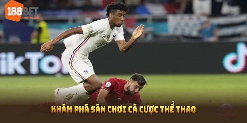 Khám phá sân chơi cá cược thể thao với những điều cơ bản nhất 