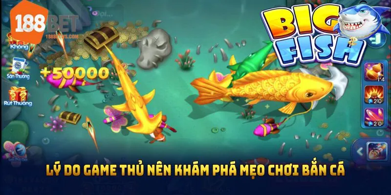 Lý do game thủ nên khám phá mẹo chơi bắn cá online tại cổng game chúng tôi