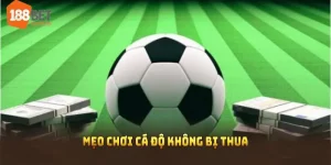 mẹo chơi cá độ không bị thua