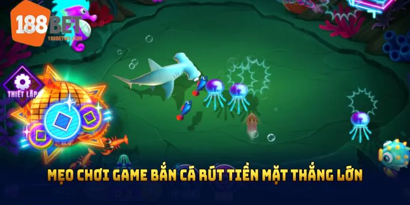 Mẹo chơi game bắn cá rút tiền mặt thắng lớn từ chuyên gia 