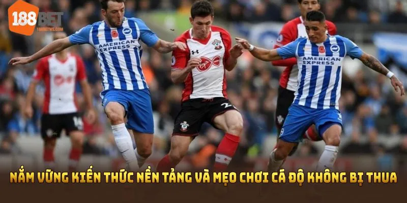 Nắm vững kiến thức nền tảng và mẹo chơi cá độ không bị thua 