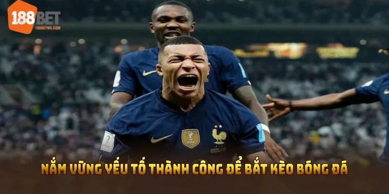 Nắm vững yếu tố thành công để bắt kèo bóng đá hiệu quả hơn 