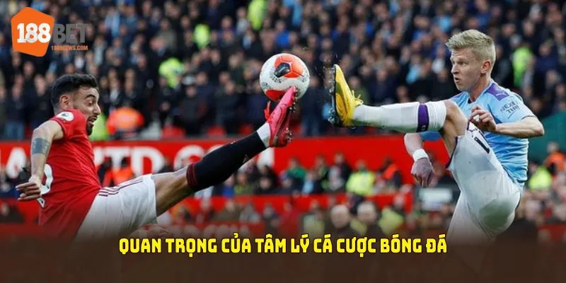 Hiểu đúng về tầm quan trọng của tâm lý cá cược bóng đá 