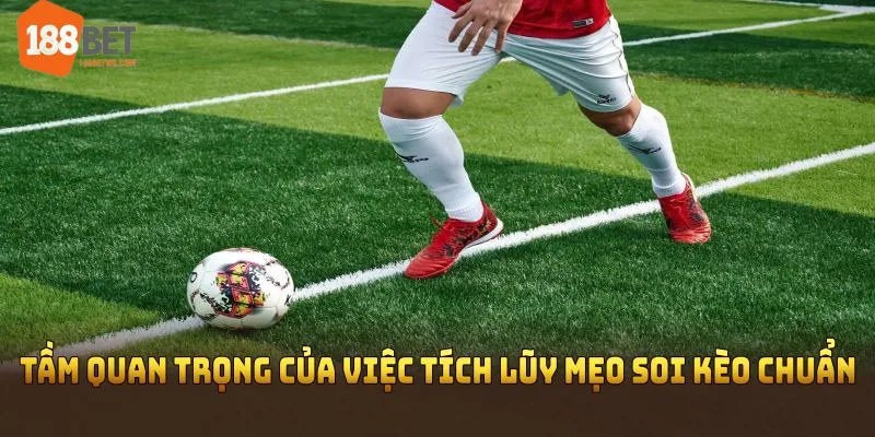 Tầm quan trọng của việc tích lũy mẹo soi kèo chuẩn