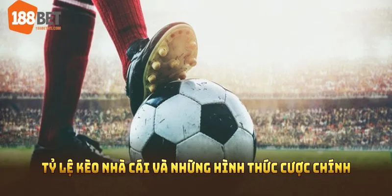 Tỷ lệ kèo nhà cái và những hình thức cược chính