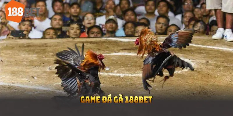 Game đá gà tại 188BET