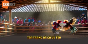 trang đá gà uy tín 188bet